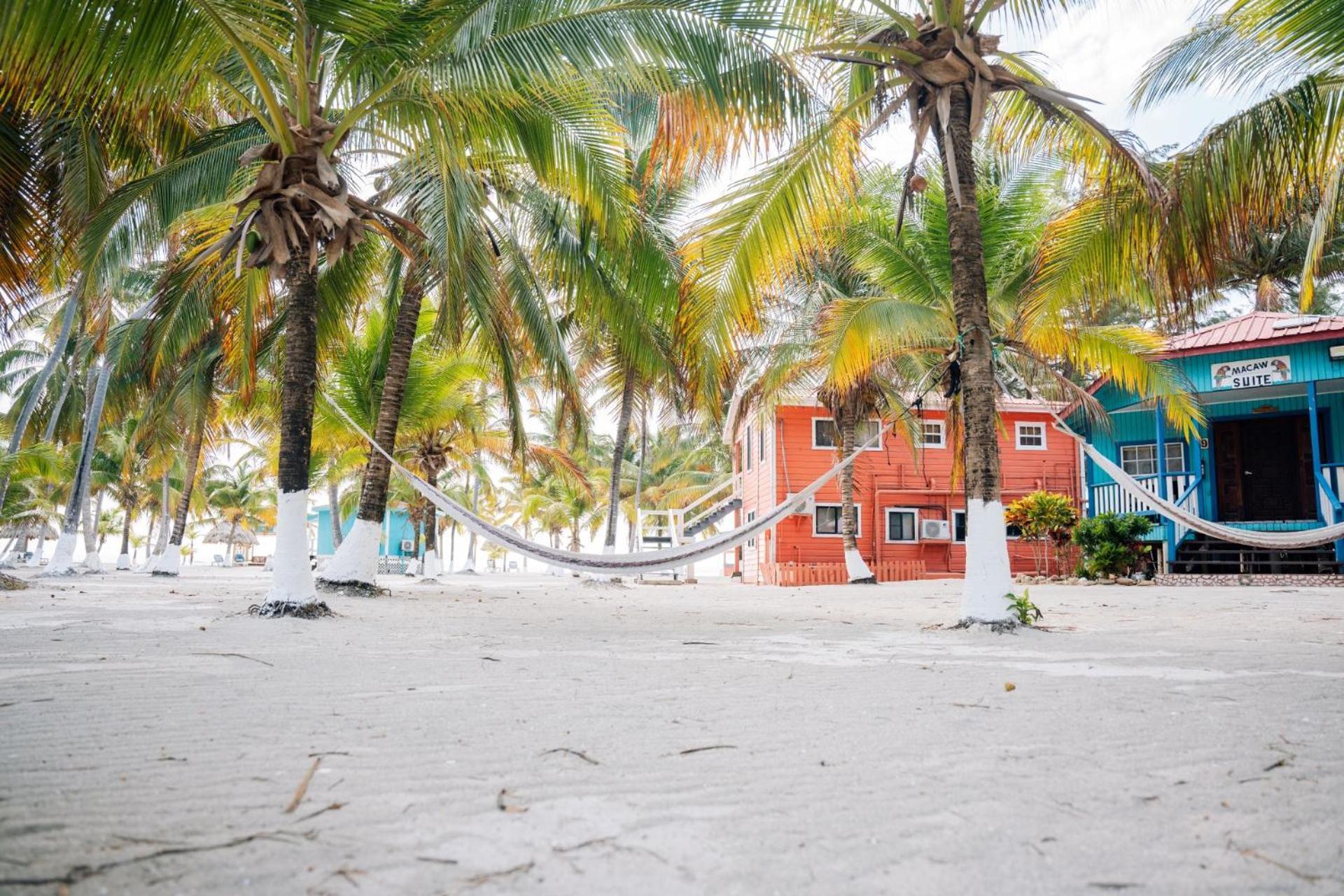 Blue Marlin Beach Resort Dangriga Exterior foto
